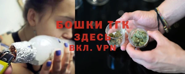 шишки Карталы
